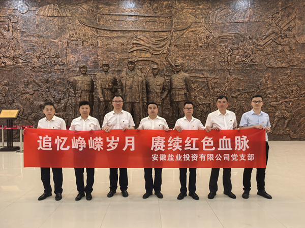 定遠(yuǎn)公司黨支部開展主題黨日活動