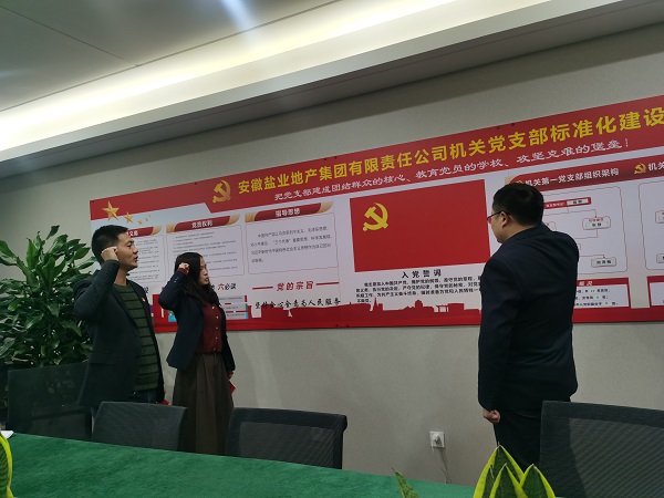 安徽鹽業(yè)地產(chǎn)集團機關(guān)第一黨支部開展“佩黨徽、誦誓詞、贈黨章、上黨課”黨員教育活動