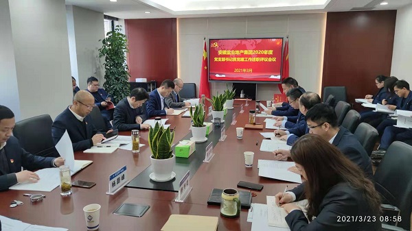 安徽鹽業(yè)地產(chǎn)集團(tuán)公司黨委召開2020年度基層黨支部書記抓黨建工作述職評議會