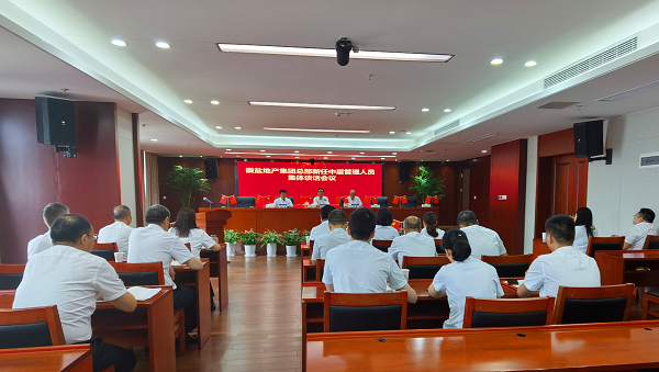 王思軍出席徽鹽地產(chǎn)集團總部新任中層管理人員任前集體談話會議