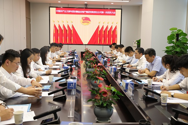 青春向黨傳薪火 踔厲奮發(fā)新時代——安徽鹽業(yè)地產(chǎn)集團團支部成立大會暨團員大會勝利召開